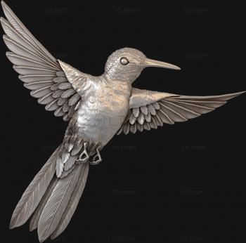 3D model Hummingbird (STL)