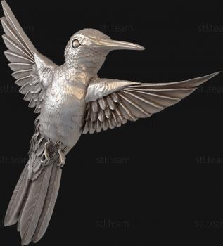 3D model Hummingbird (STL)
