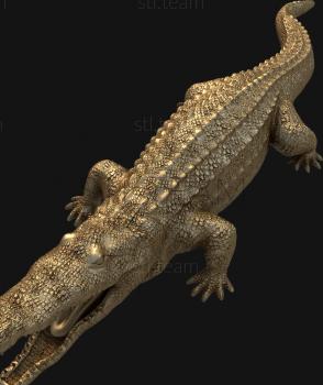 3D модель 3d stl модель крокодил (STL)