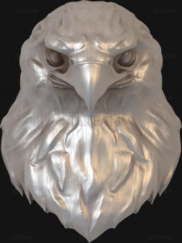 3D model Falcon's head (STL)