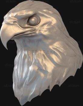 3D model Falcon's head (STL)