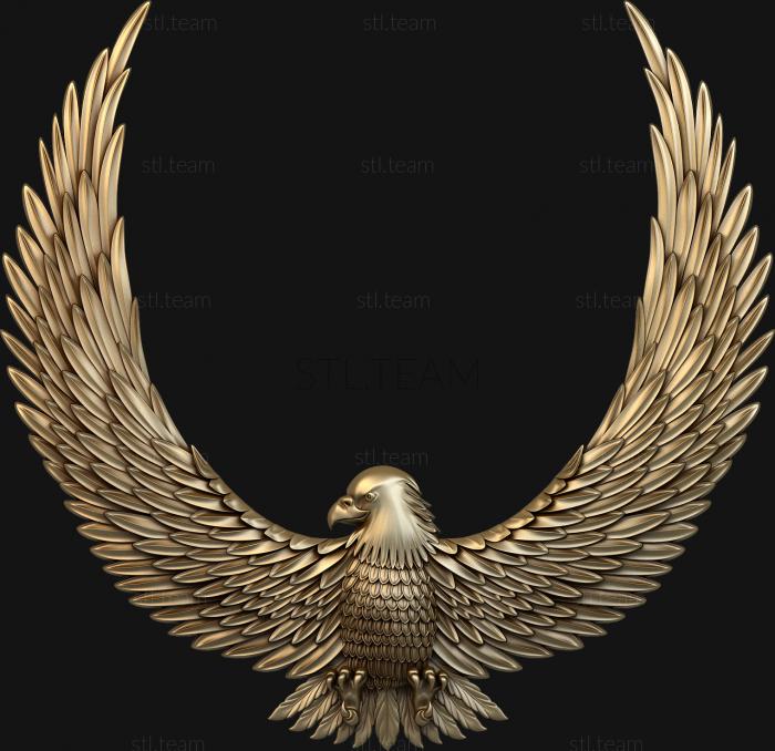 Eagle with raised wings
