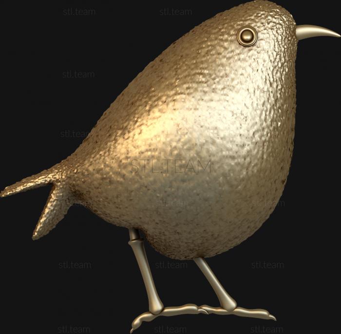 Животные Kiwi bird