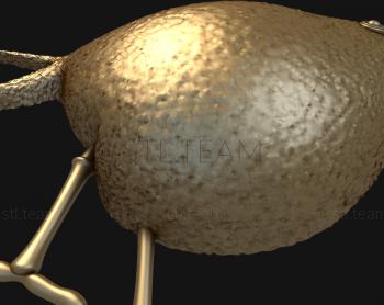 3D model Kiwi bird (STL)