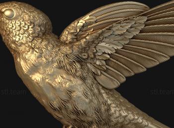 3D model Flying hummingbird (STL)