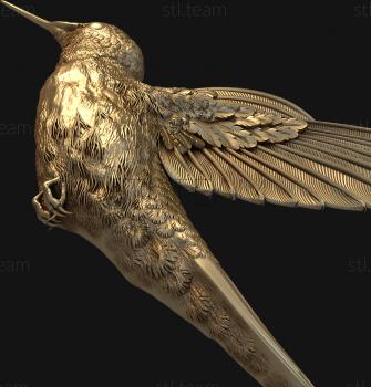 3D model Flying hummingbird (STL)