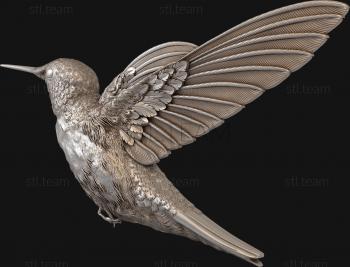 3D model Flying hummingbird (STL)