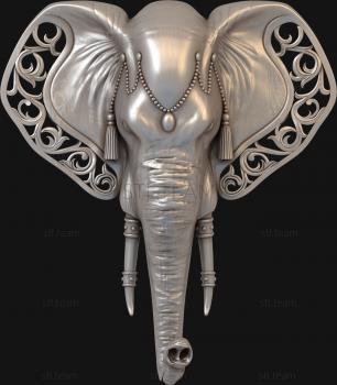 3D model Elephant's head (STL)