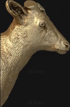 3D model The doe (STL)