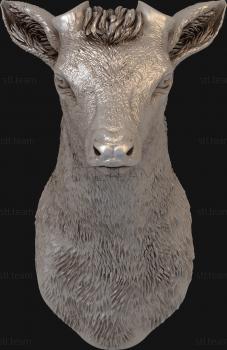 3D model The doe (STL)