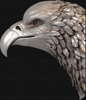 3D model The head of a bird of prey (STL)