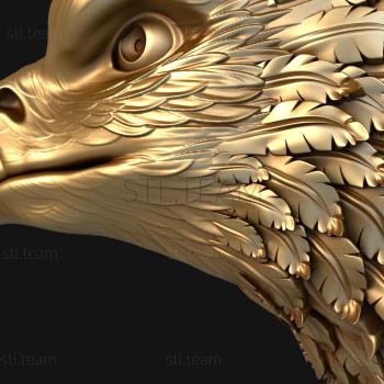 3D model The head of a bird of prey (STL)