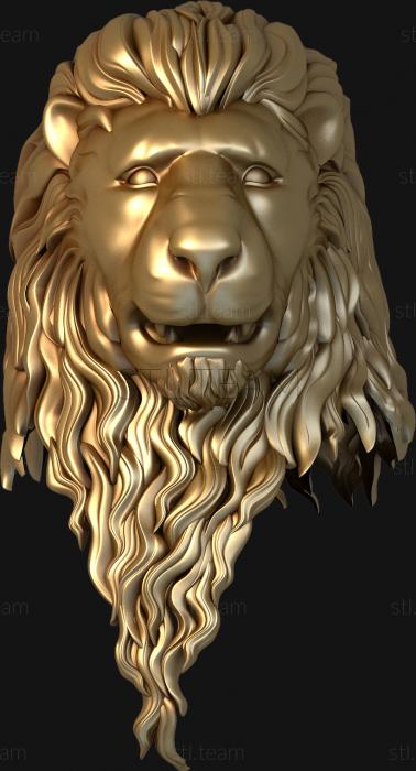 Животные Голова льва