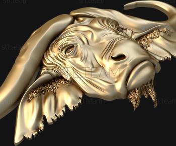 3D model Buffalo head (STL)