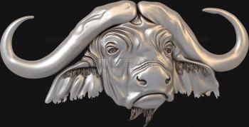 3D model Buffalo head (STL)