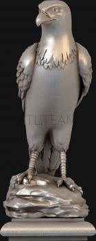 3D модель Орел на камне (STL)