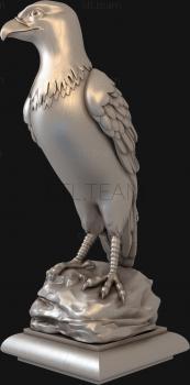 3D model Eagle on a rock (STL)