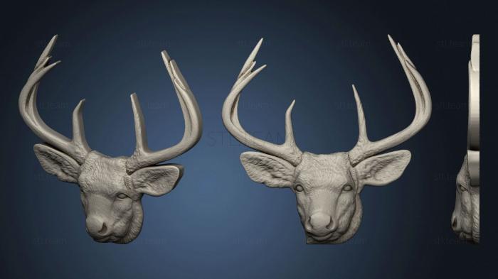 3D model Deer Face (STL)