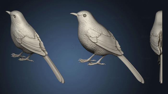 3D model Birdie (STL)