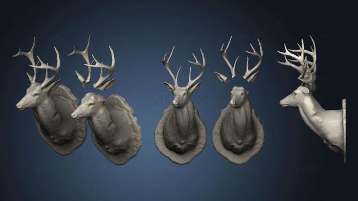 3D model Deer head (STL)
