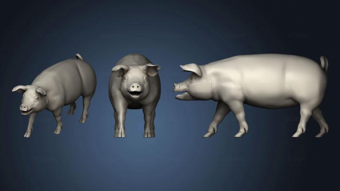 3D model Little pig var1 (STL)