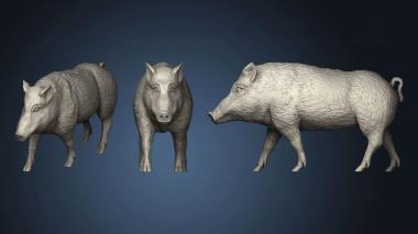 3D model Wild boar var1 (STL)