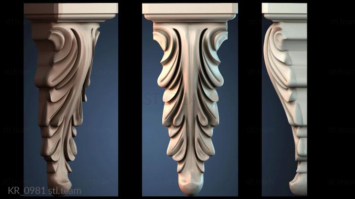 Кронштейны KR_0981