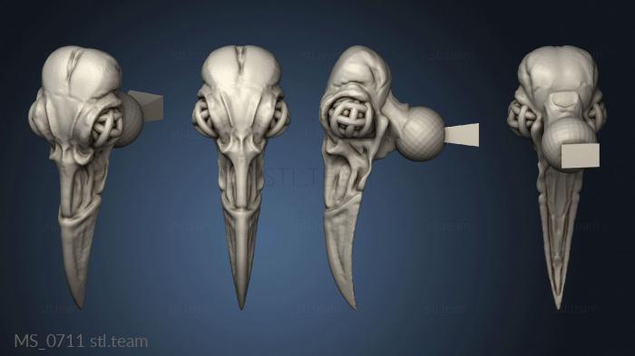 gull skull