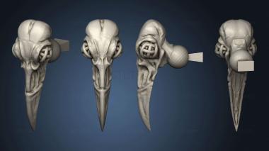 3D model gull skull (STL)