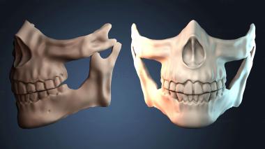 3D model Higgs Mask (STL)