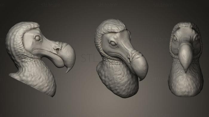 Маски и морды животных Скульптура Головы птицы Додо