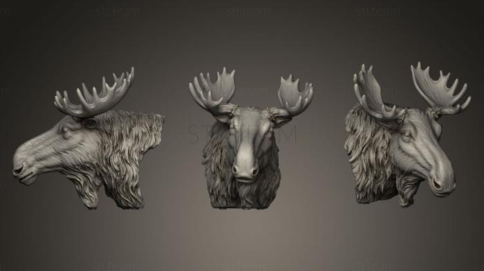 3D model Moose Art Decoration (STL)