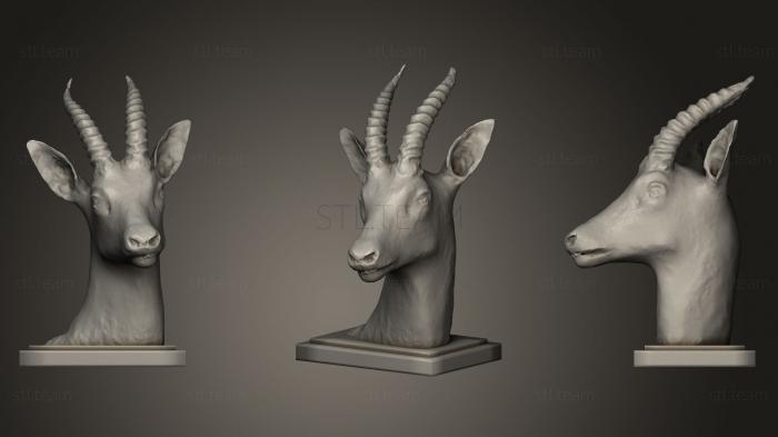 3D model Palestine Mountain Gazelle (STL)