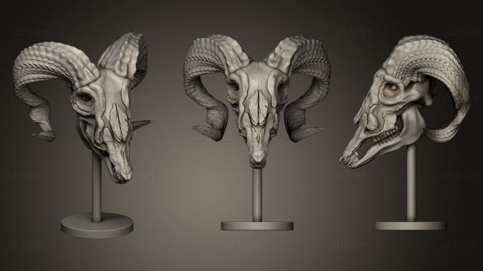 3D модель Готовый к печати козий череп (STL)