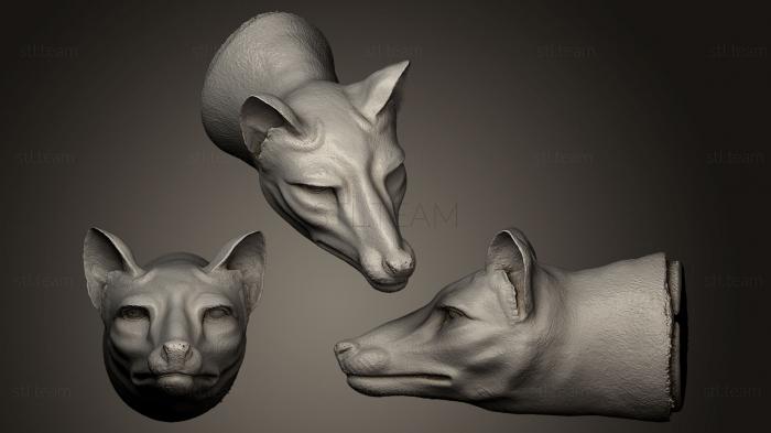 Маски и морды животных Thylacine wax sculpt