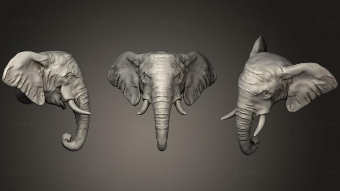 3D модель Голова Африканского Слона Низкополигональная (STL)