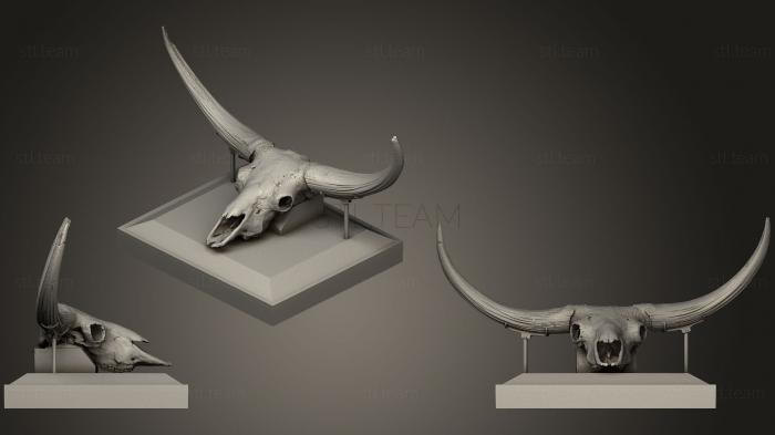3D model Bison Latifrons Skulls (STL)