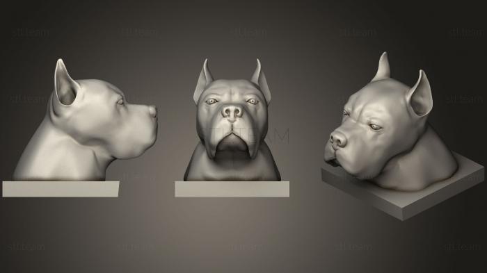 3D model Cane Corso (Italian Mastiff) (STL)