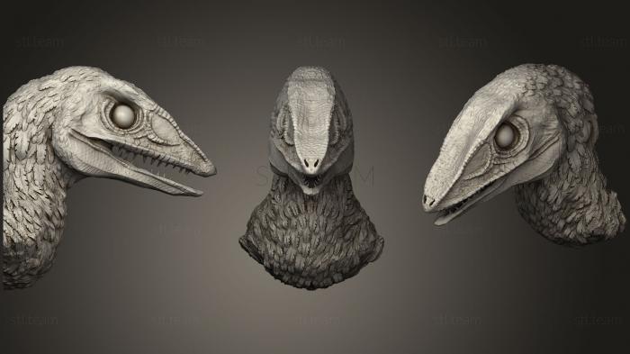 3D model Feathered Dinosaur Head  Velocirator (STL)