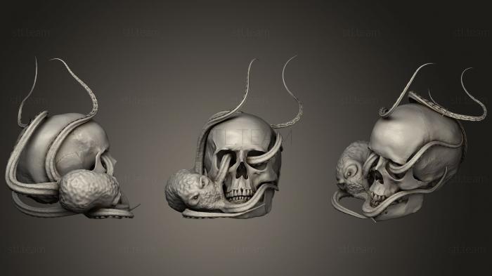 Маски и морды животных Octopus King Skull Modern Art