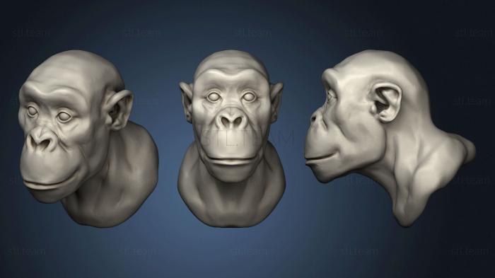 3D модель Шимпанзе 124 (STL)
