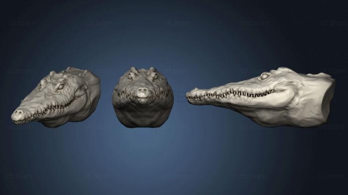 3D модель Крокодил 2 (STL)