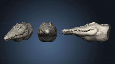 3D model Crocodile 149 (STL)