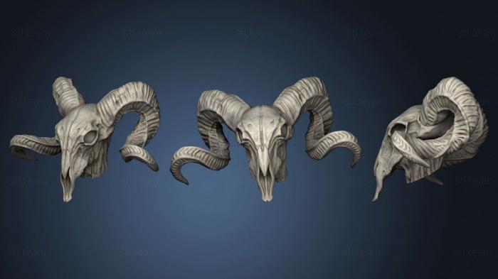 3D model Keoghradan Skull Druid with Wolves (STL)