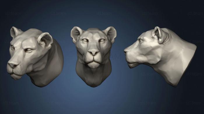 3D model Lioness 2 (STL)