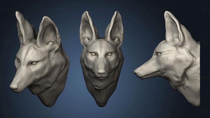 3D модель Гривастый волк 2 48 (STL)