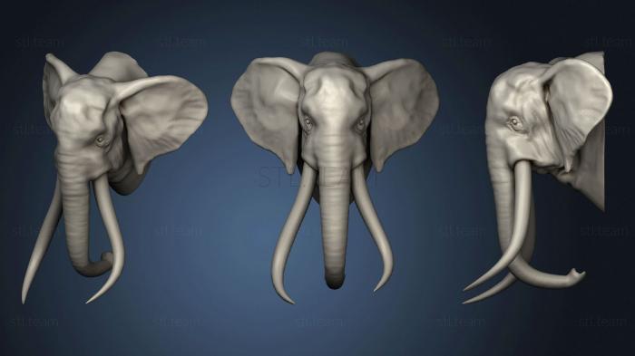 3D model OLD TRUNK ELEPHANT 2 154 (STL)