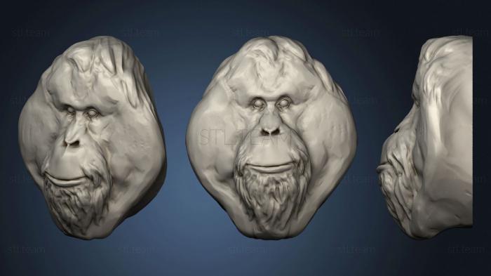 3D модель Орангутанг 2 (STL)