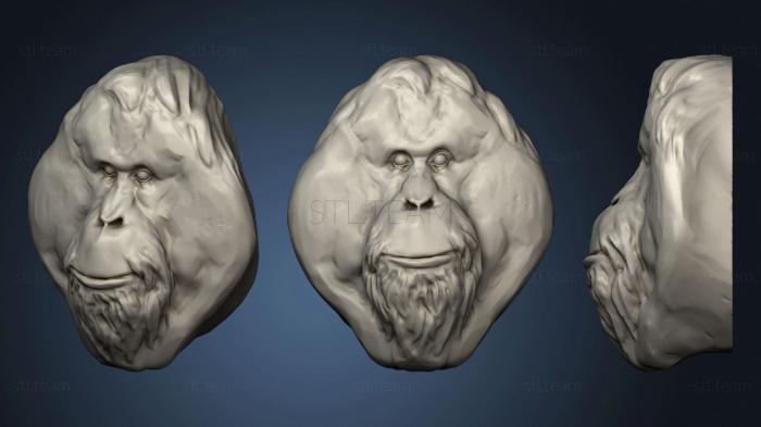 3D модель Орангутанг 142 (STL)