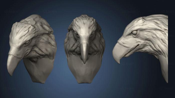 3D model Phillippine Eagle 2 2 (STL)